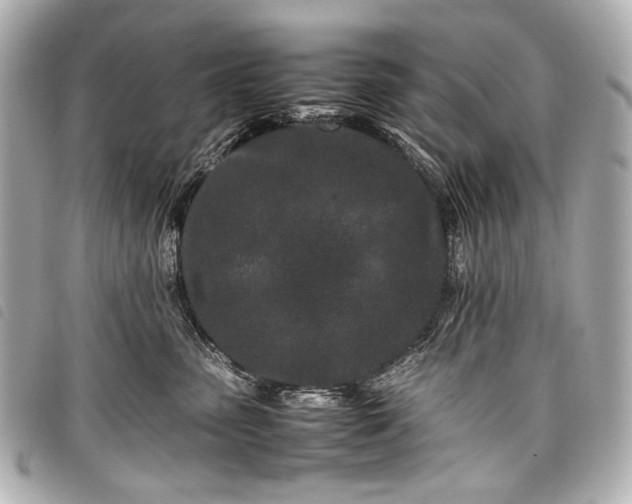 X0000098080475200804181203