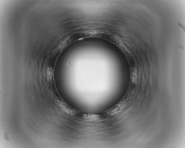 X0000098080476200804181203