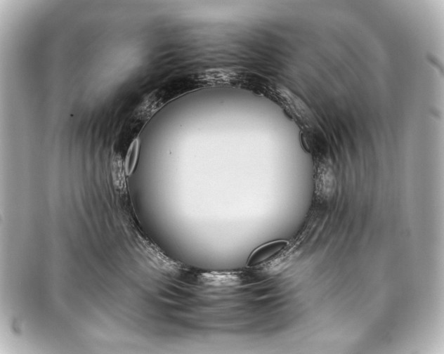 X0000098080477200804181203