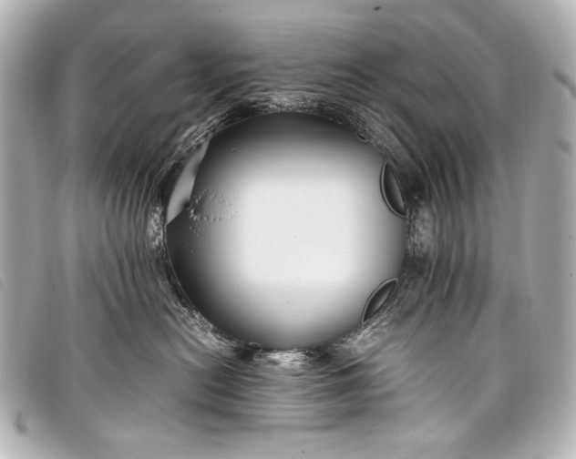 X0000098080478200804181203