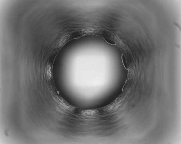 X0000098080479200804181203