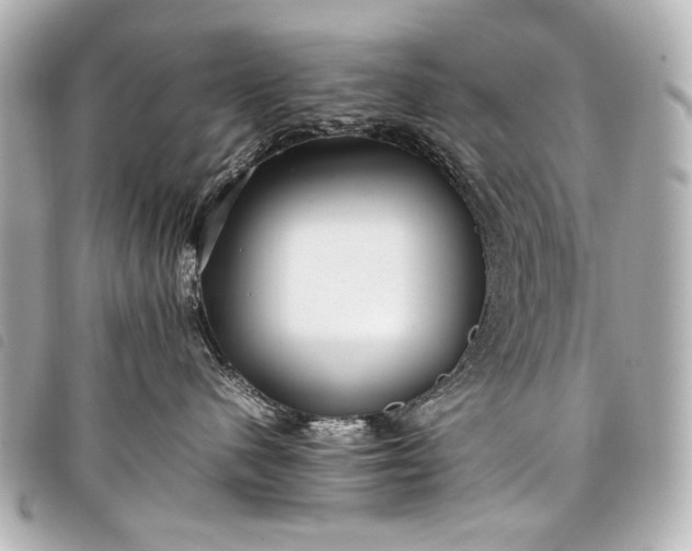 X0000098080480200804181203