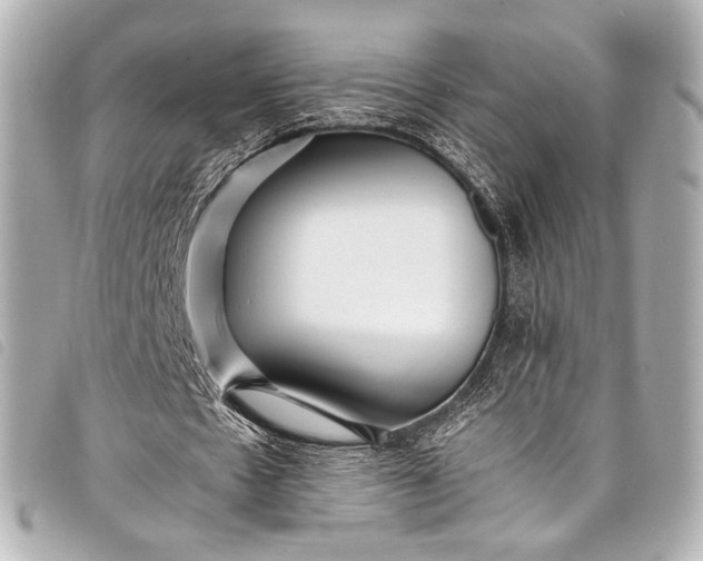 X0000098080481200804181202