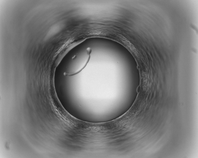 X0000098080482200804181202