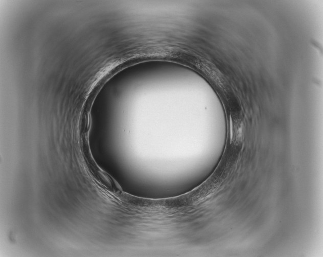 X0000098080483200804181202