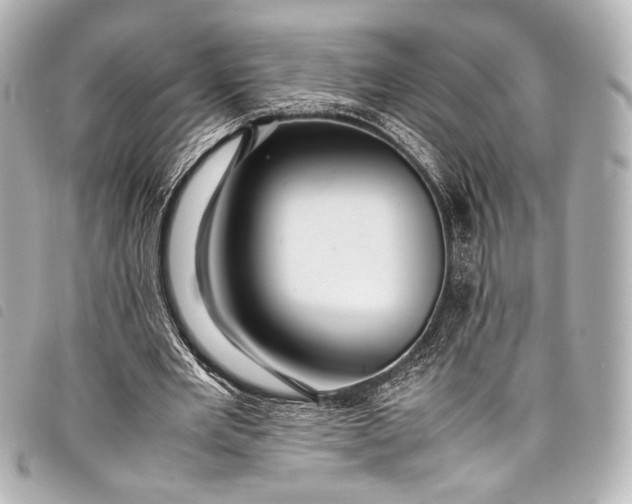 X0000098080485200804181202