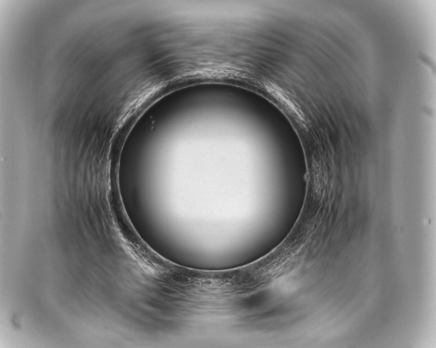 X0000098080486200804181202