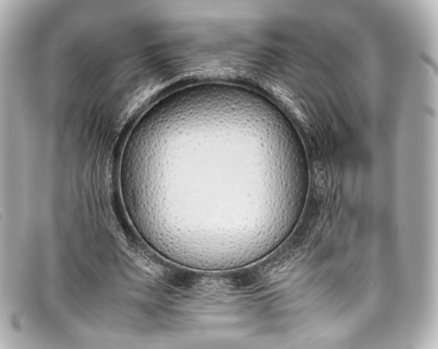 X0000098080487200804181202