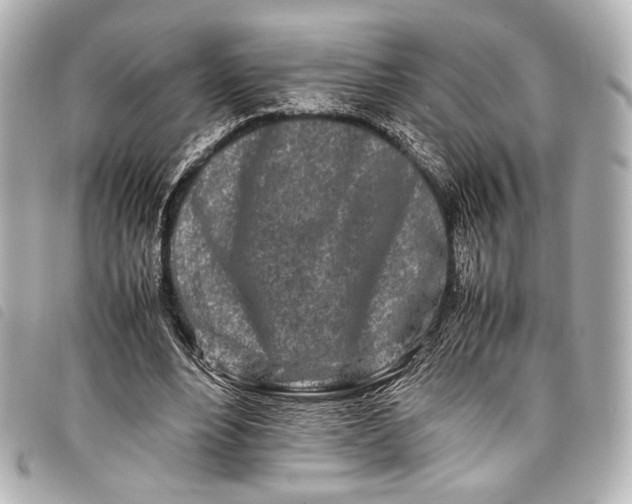 X0000098080488200804181202