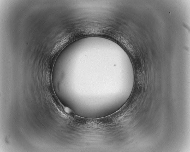 X0000098080489200804181202