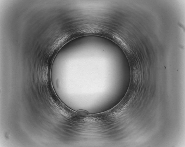 X0000098080490200804181202