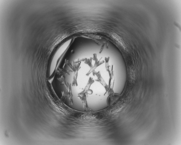 X0000098080491200804181202