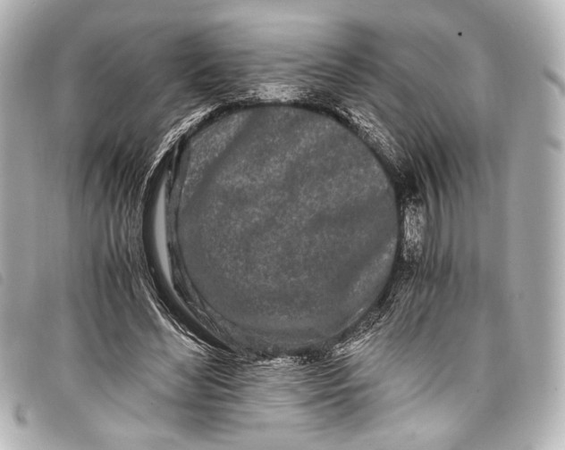 X0000098080492200804181202