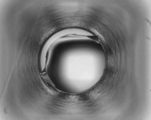 X0000098080493200804181202