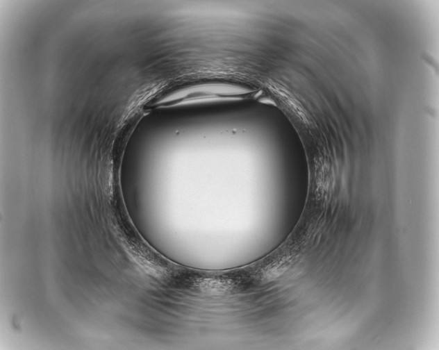 X0000098080494200804181202