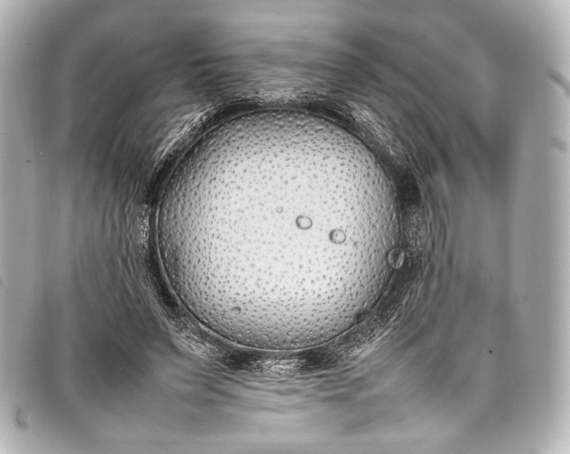 X0000098080495200804181202