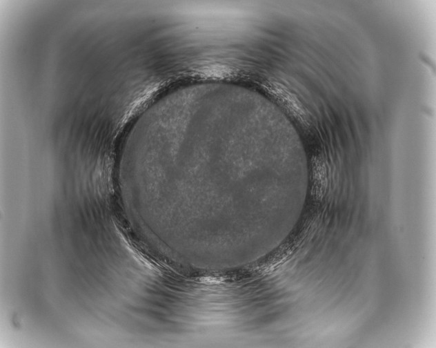 X0000098080496200804181202