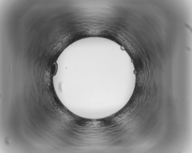 X0000098080497200804181202