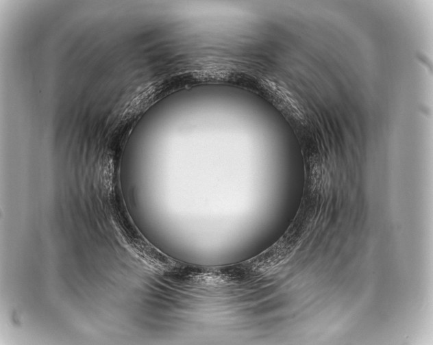 X0000098080498200804181202