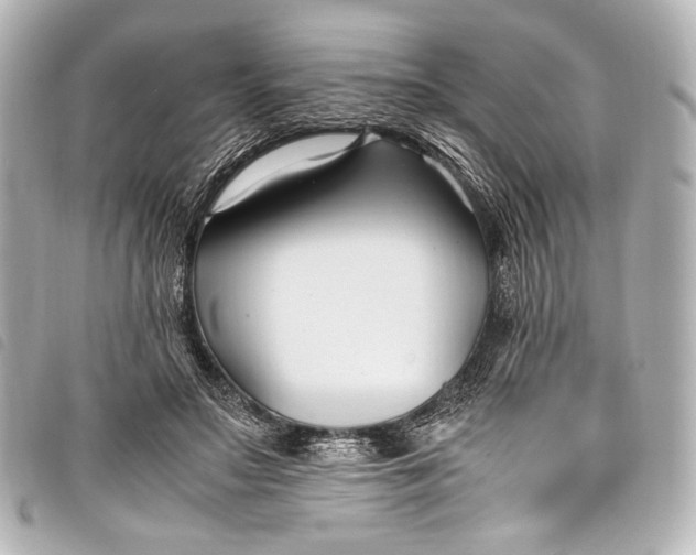 X0000098080499200804181202