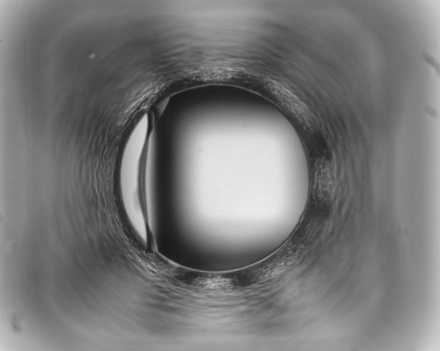 X0000098080501200804181202