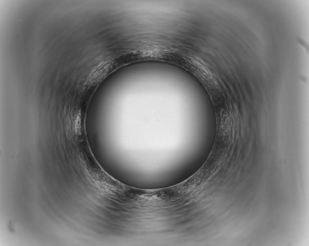 X0000098080502200804181202