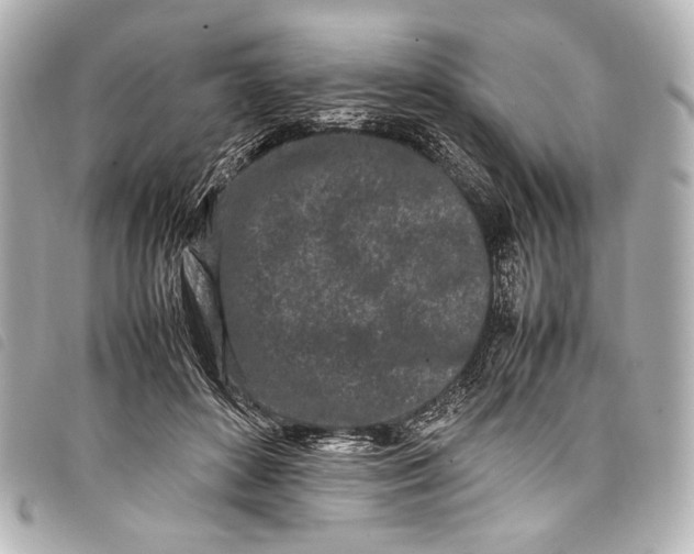 X0000098080504200804181202