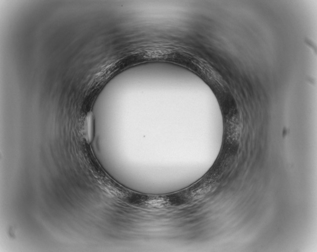 X0000098080505200804181202