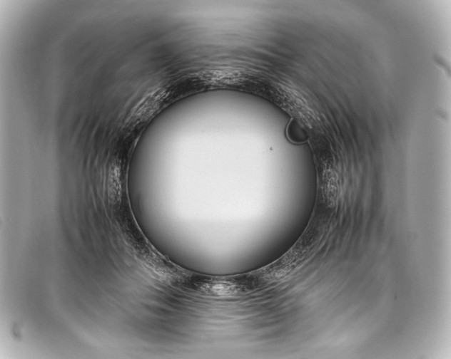 X0000098080506200804181202