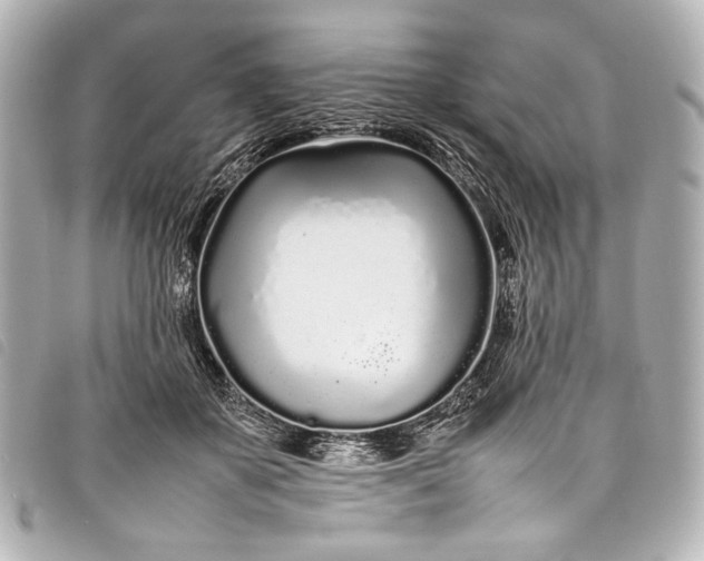 X0000098080507200804181202