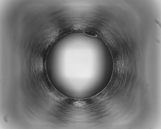 X0000098080508200804181202