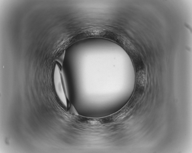 X0000098080509200804181202