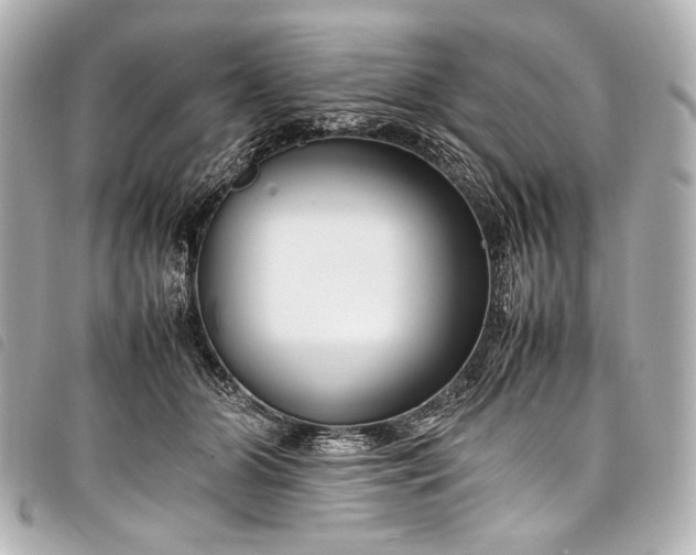 X0000098080510200804181202