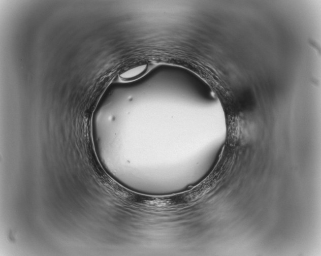 X0000098080511200804181202