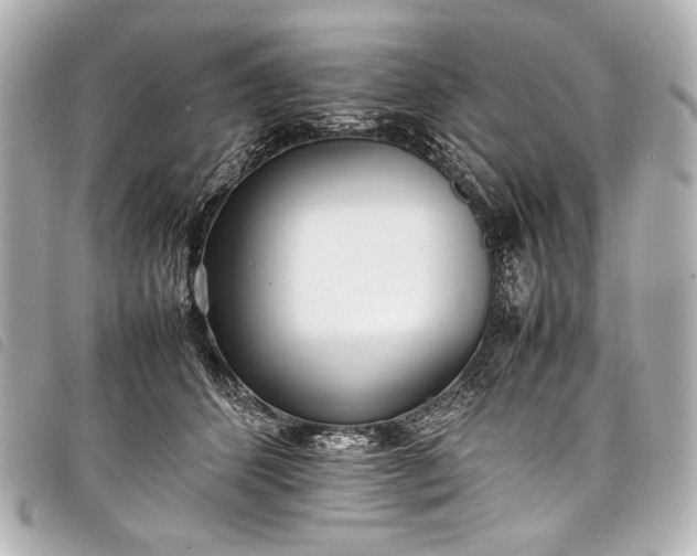 X0000098080512200804181202