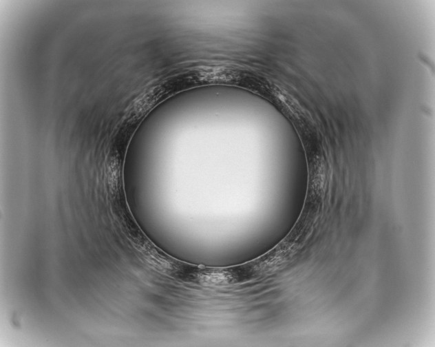 X0000098080513200804181202