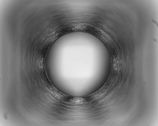 X0000098080514200804181202