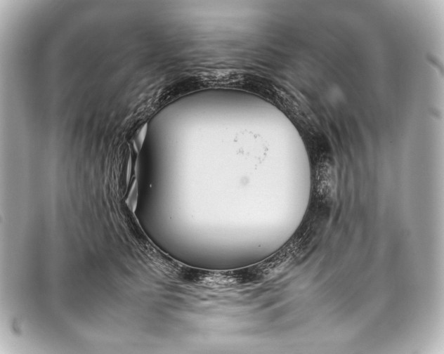 X0000098080515200804181202