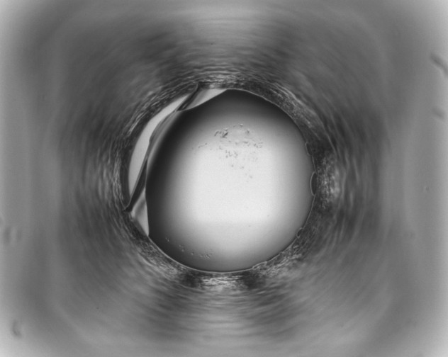 X0000098080516200804181202