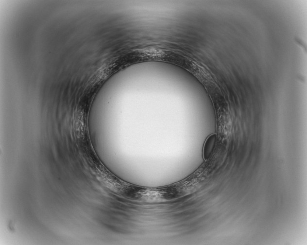 X0000098080518200804181202