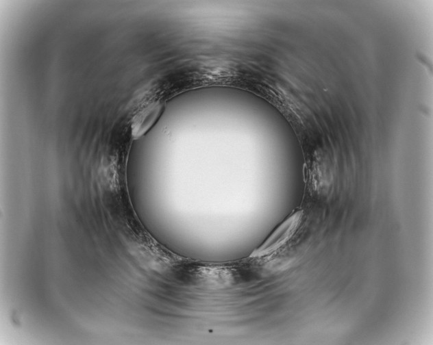 X0000098080520200804181202