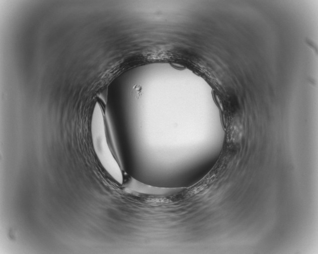 X0000098080521200804181202