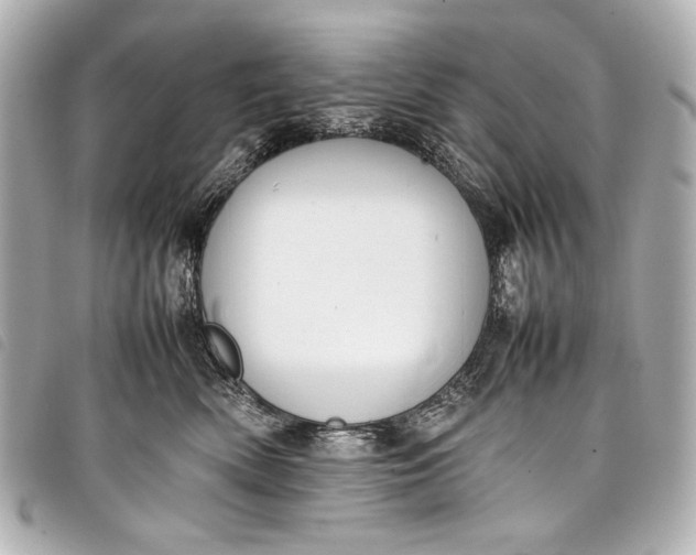 X0000098080522200804181202