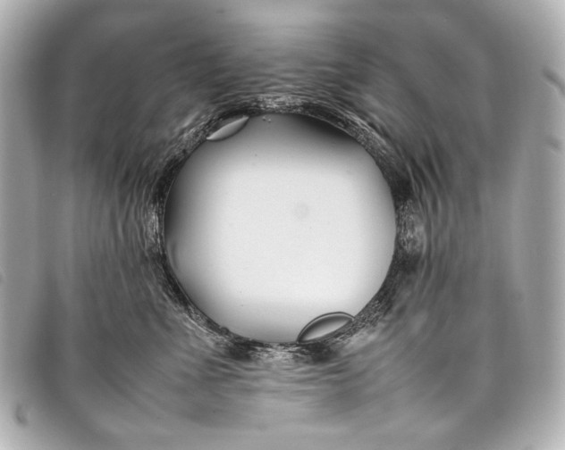 X0000098080523200804181202