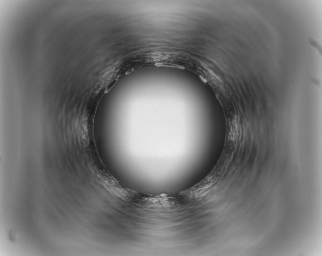 X0000098080524200804181202