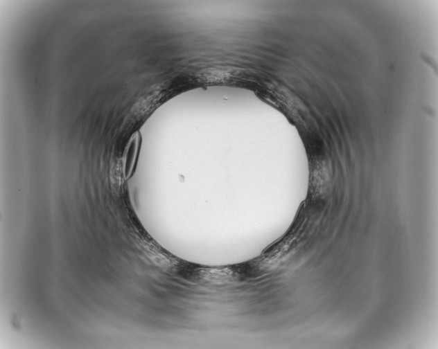 X0000098080525200804181202