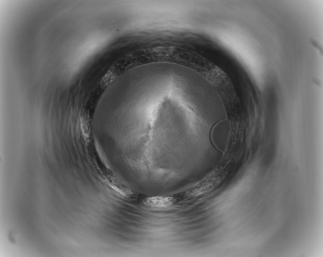 X0000098080526200804181202