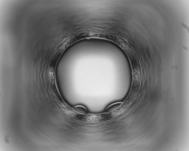 X0000098080527200804181202