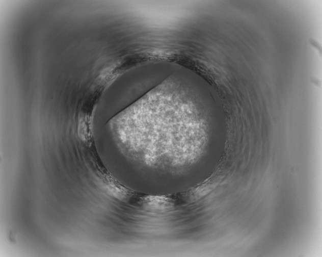 X0000098080528200804181202