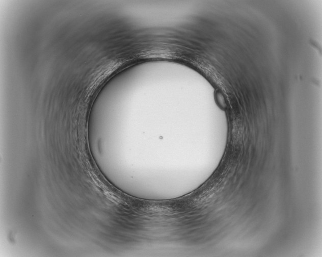 X0000098080529200804181201